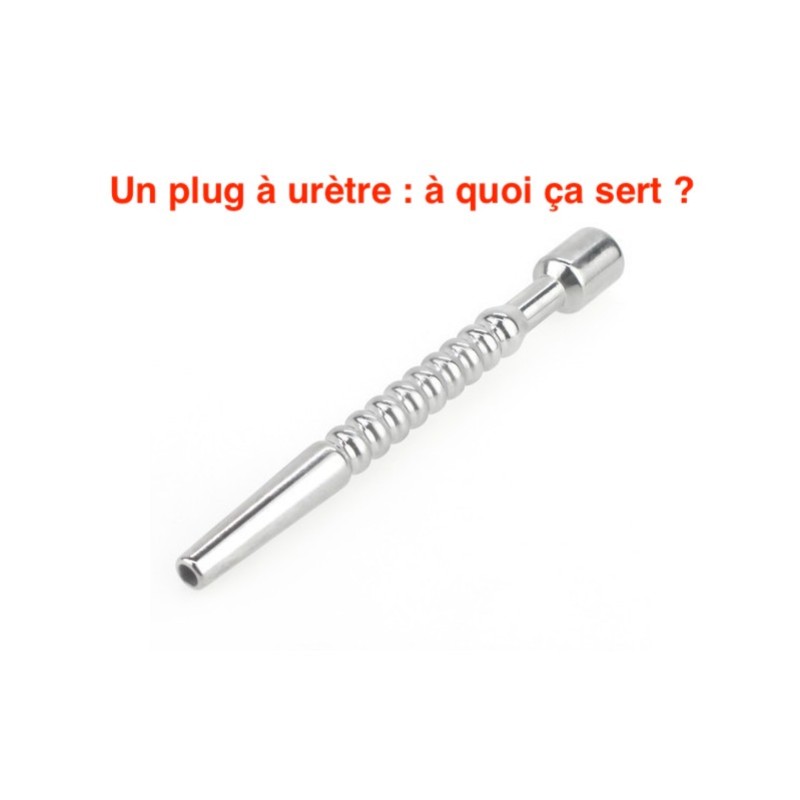 Plug  urtre : Dcouvrez son utilit et ses plaisirs | La Boutique du Hard
