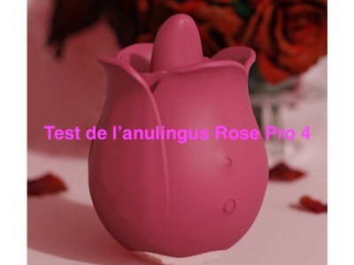 Test de l'Anulingus rose Pro 4 