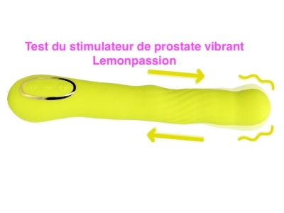 Test du stimulateur de prostate vibrant Lemonpassion 17*3.5 cm